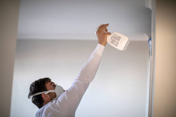 Best Mold Removal Near Me  in Lansford, PA