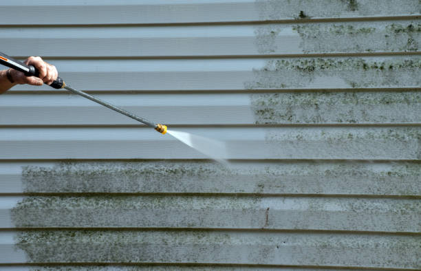 Mold Testing and Removal in Lansford, PA