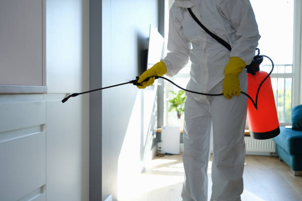 Best Office Mold Removal Services  in Lansford, PA