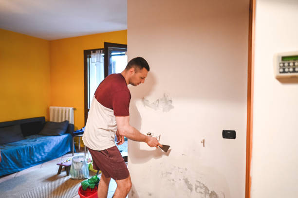 Best Emergency Mold Removal  in Lansford, PA