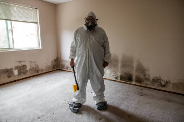 Best Professional Mold Removal  in Lansford, PA